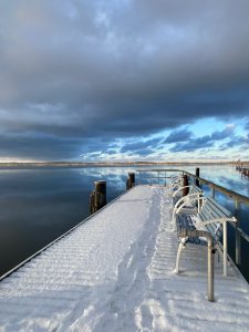 IMG_2960