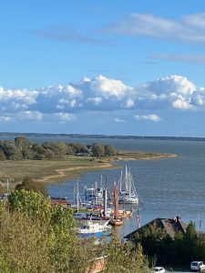 IMG_1736
