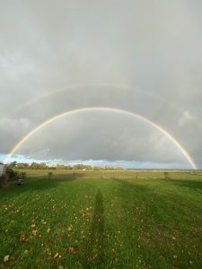 IMG_8132